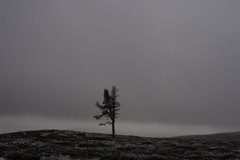 © Nicolas Marbeau - Pallas-Yllästunturi