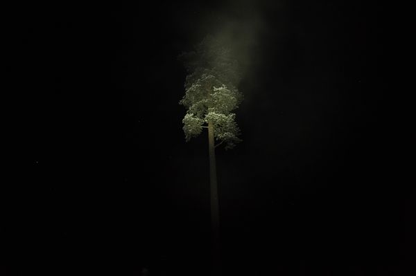 © Nicolas Marbeau - Lohiniva