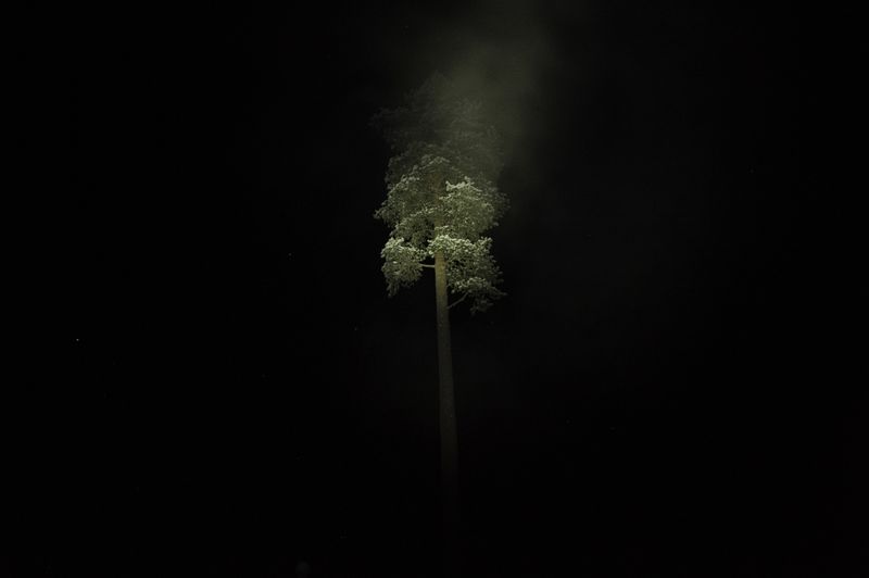 © Nicolas Marbeau - Lohiniva