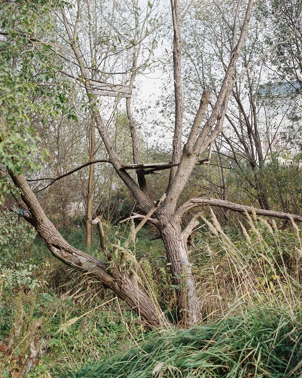 © Siarhiej Leskiec - Image from the AGRO photography project