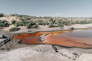 Sweet Salt of Emptiness