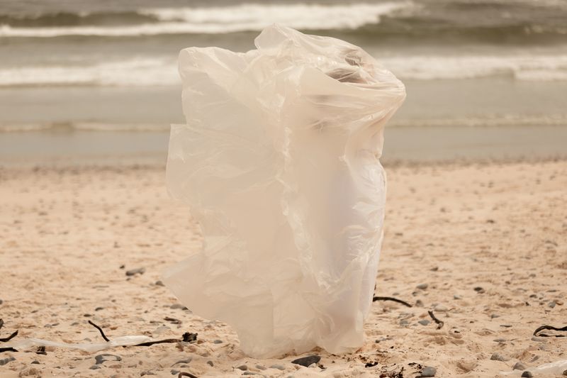 © Nina Zimolong - Image from the If Oceans could speak photography project