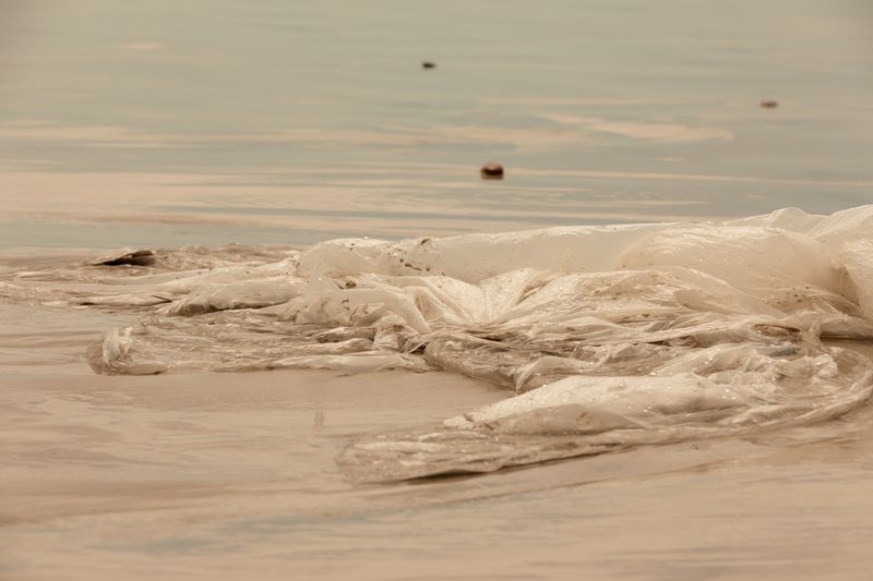 © Nina Zimolong - Image from the If Oceans could speak photography project