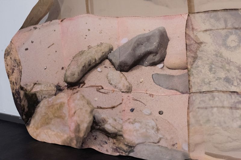 © Emilia Anniina Pennanen - Image from the Rose Rock / Prairie Flower photography project