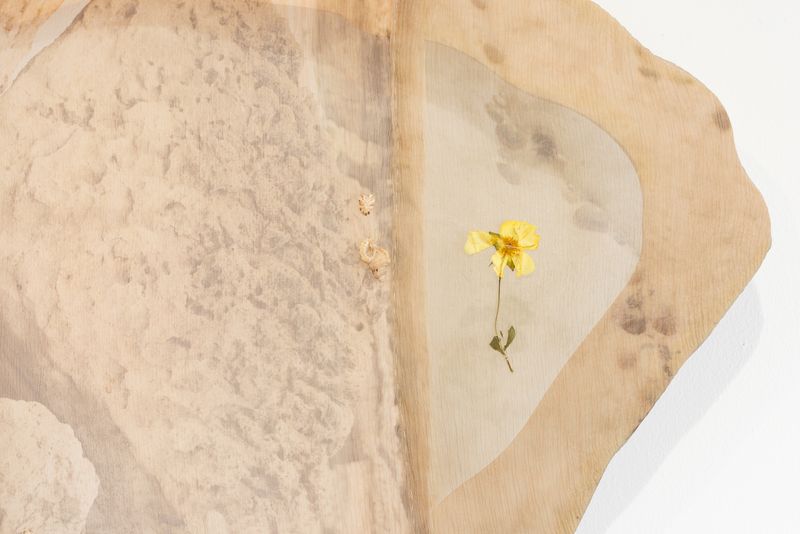 © Emilia Anniina Pennanen - Image from the Rose Rock / Prairie Flower photography project