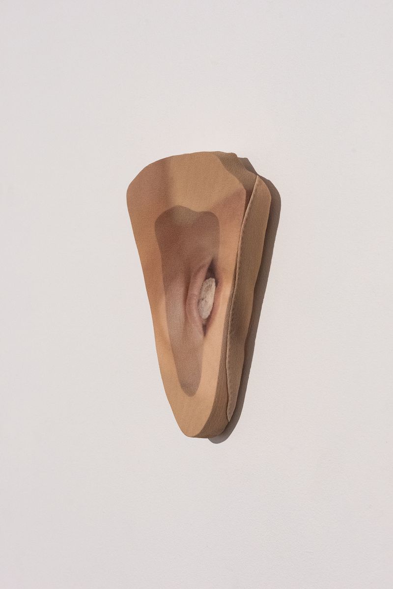 © Emilia Anniina Pennanen - A Shell / A Dreampigment print on silk, birch veneer14,5 x 22,5 x 2,8 cmunique2025