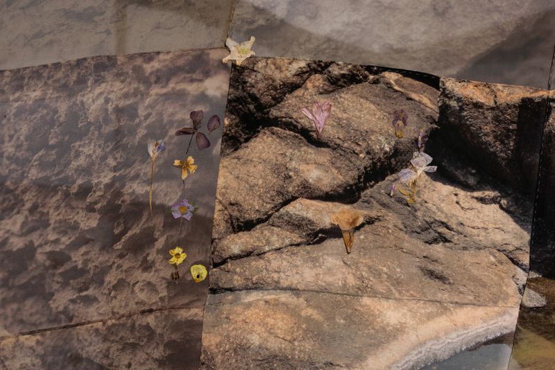 © Emilia Anniina Pennanen - Image from the Rose Rock / Prairie Flower photography project