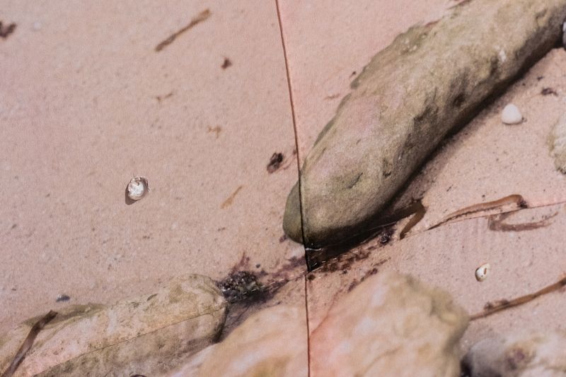 © Emilia Anniina Pennanen - Image from the Rose Rock / Prairie Flower photography project