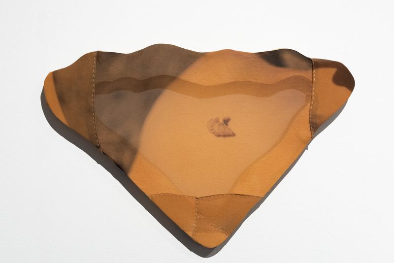 © Emilia Anniina Pennanen - A hot wind breathes through Ipigment print on silkbirch veneer45 x 29 x 2,8 cmunique2025