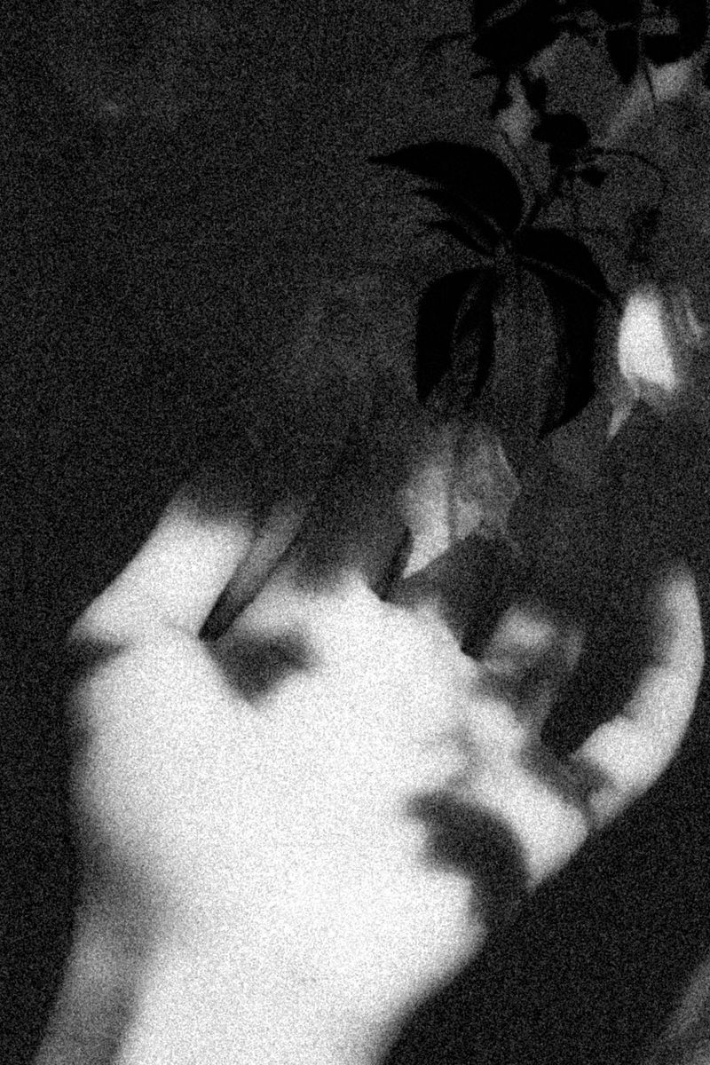 © Sara Bensaltana - Image from the Today is the day of the eclipse. photography project