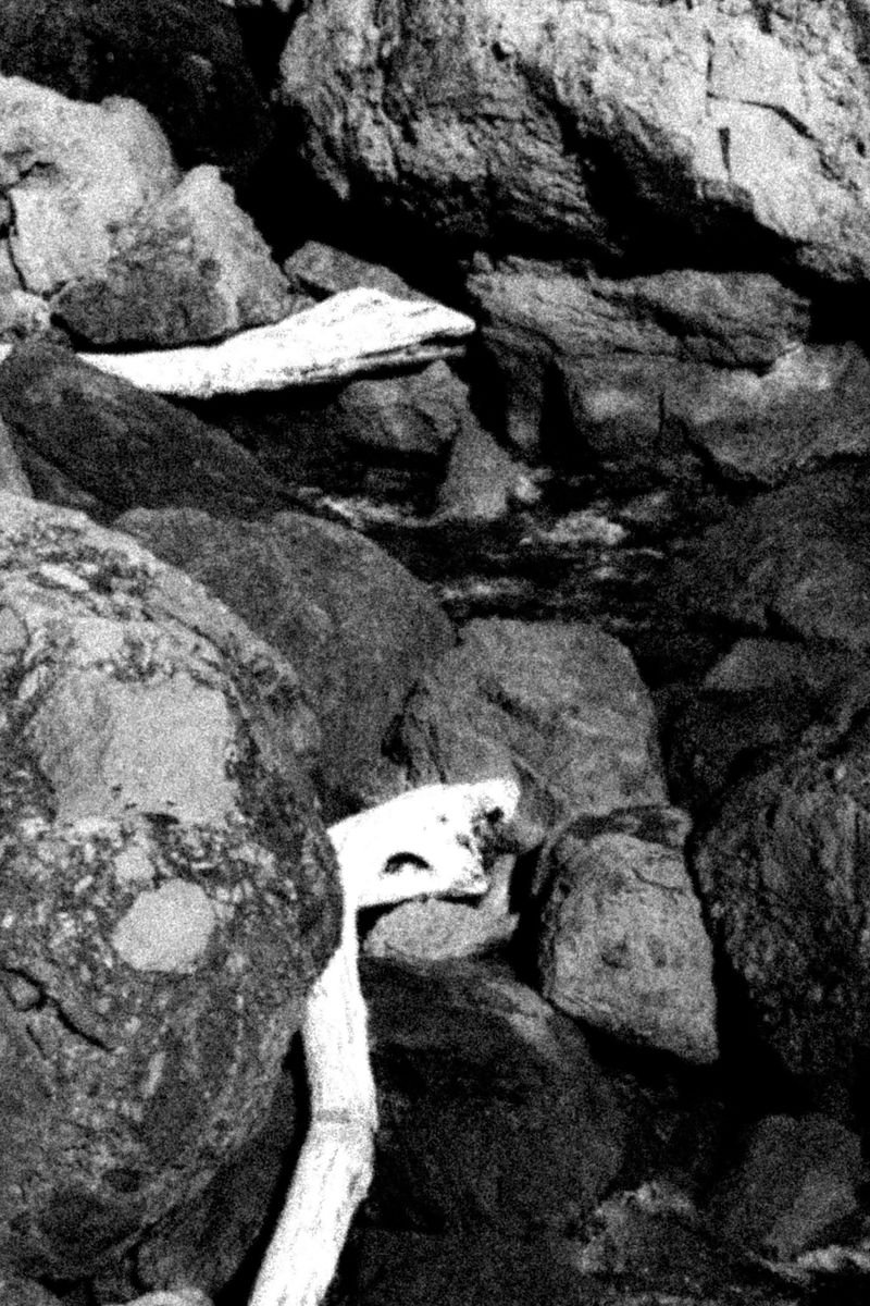 © Sara Bensaltana - Image from the Today is the day of the eclipse. photography project