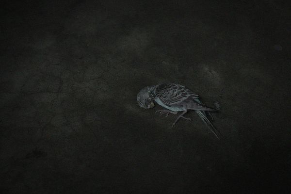 © Tushikur Rahman - Image from the Fatalistic tendency photography project