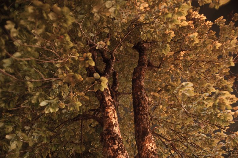 © Tushikur Rahman - Image from the Fatalistic tendency photography project