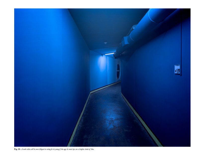 © Mark Kasumovic - Image from the A Human Laboratory photography project