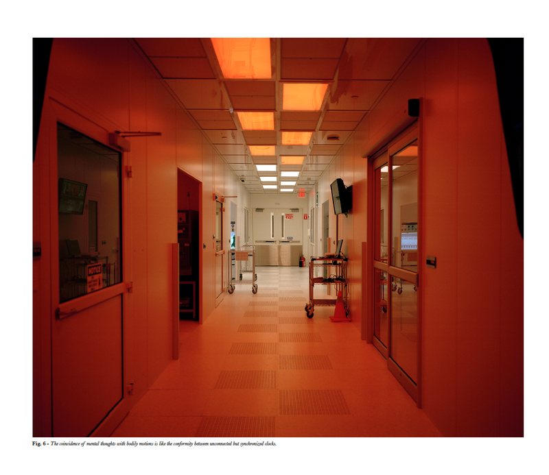 © Mark Kasumovic - Image from the A Human Laboratory photography project