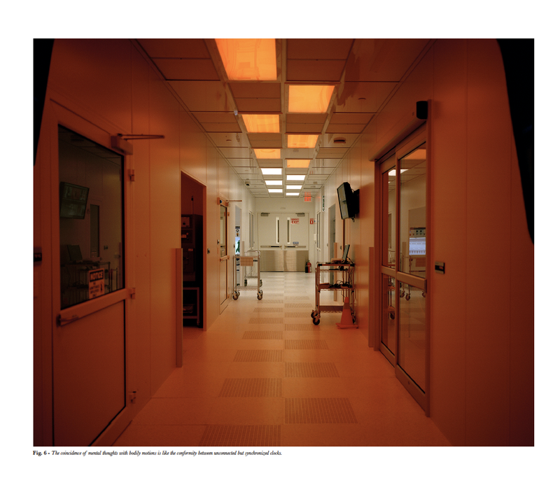 © Mark Kasumovic - Image from the A Human Laboratory photography project