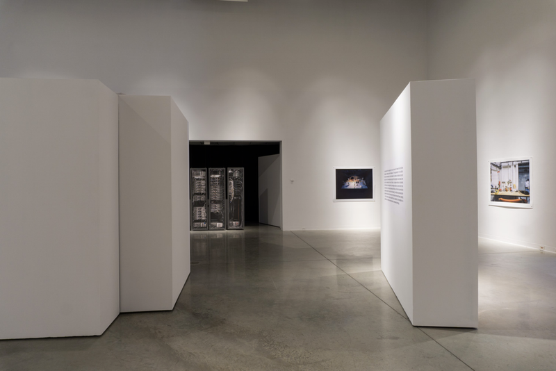 © Mark Kasumovic - Image from the A Human Laboratory photography project