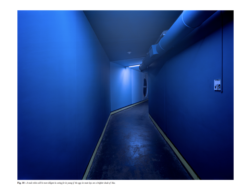 © Mark Kasumovic - Image from the A Human Laboratory photography project