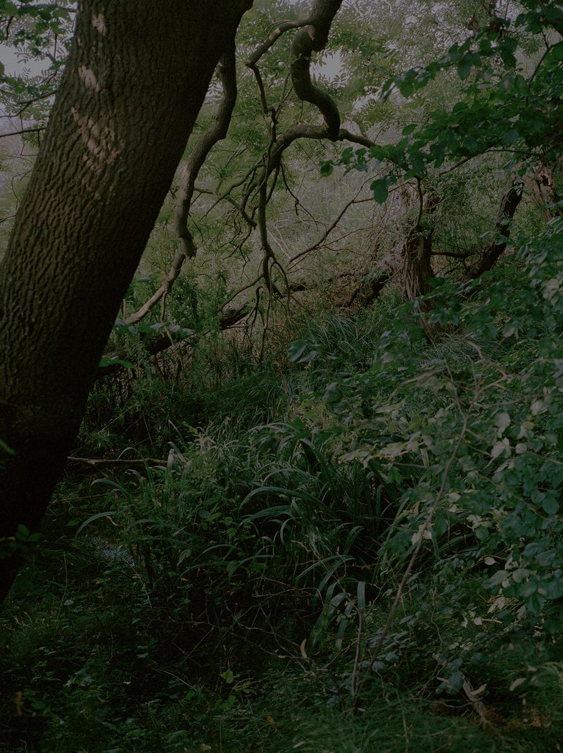 © Steven Natusch - Image from the Asking for the Sun photography project