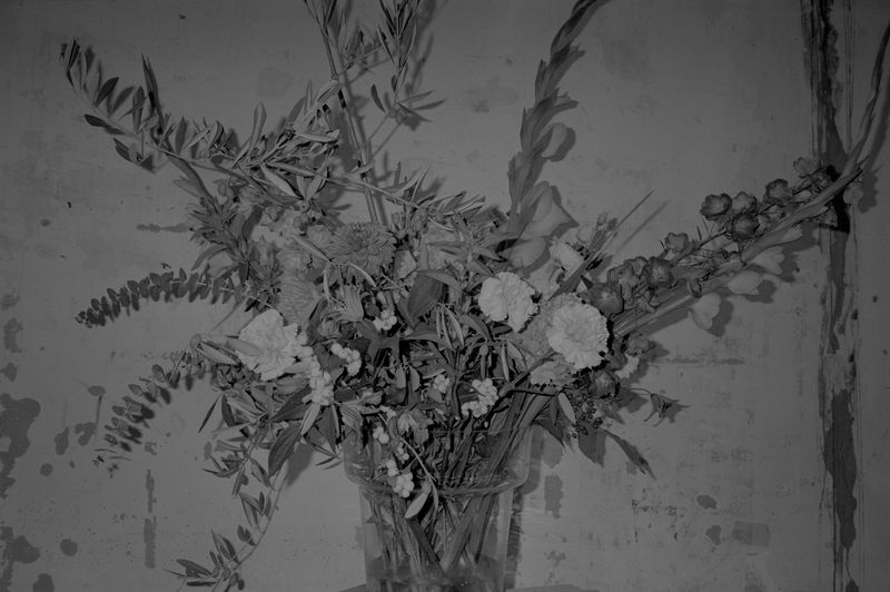 © Steven Natusch - Image from the Asking for the Sun photography project