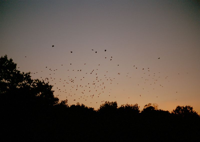 © Steven Natusch - Image from the What will be different Tomorrow? photography project