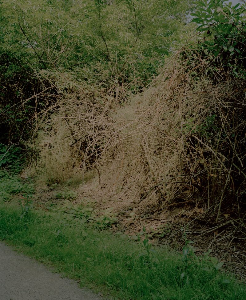 © Steven Natusch - Image from the What will be different Tomorrow? photography project