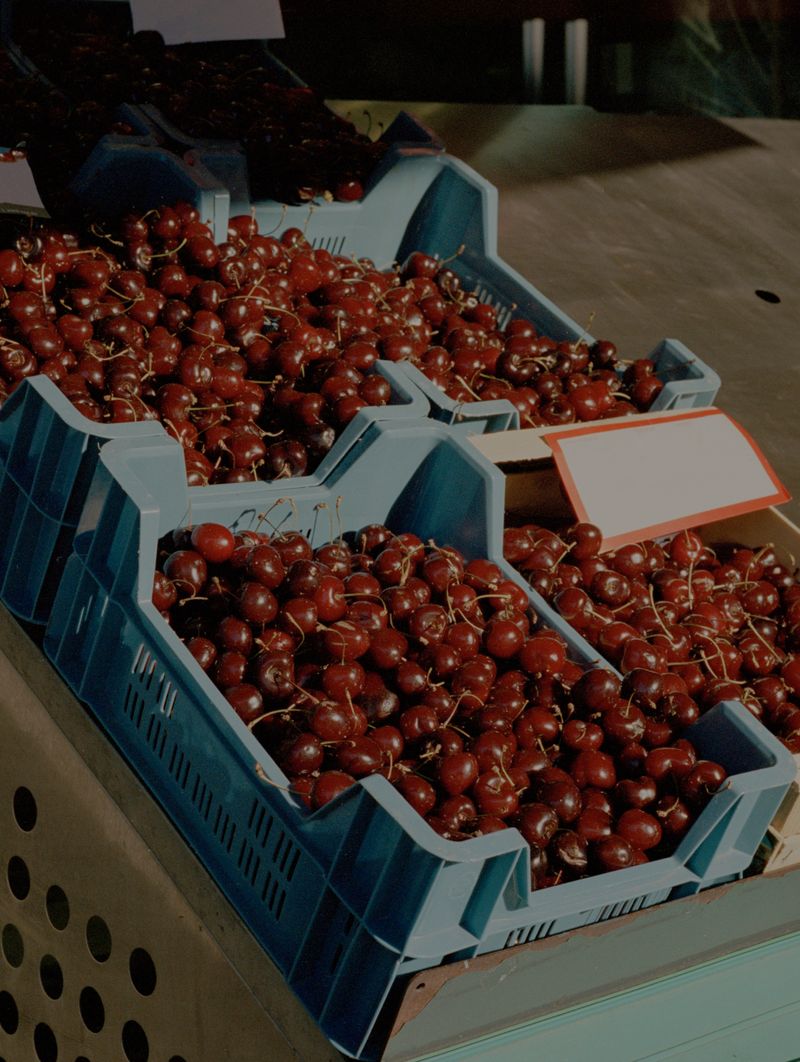 © Steven Natusch - Image from the What will be different Tomorrow? photography project