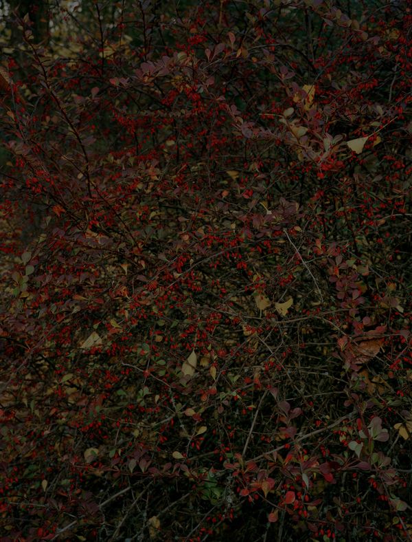 © Steven Natusch - Image from the What will be different Tomorrow? photography project