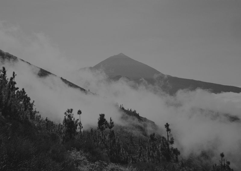 © Steven Natusch - Image from the What will be different Tomorrow? photography project