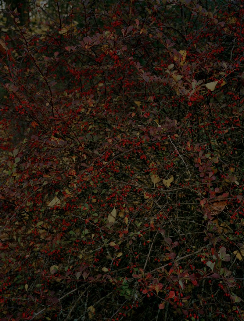 © Steven Natusch - Image from the What will be different Tomorrow? photography project