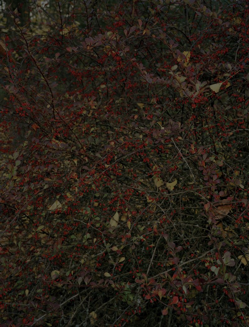 © Steven Natusch - Image from the What will be different Tomorrow? photography project