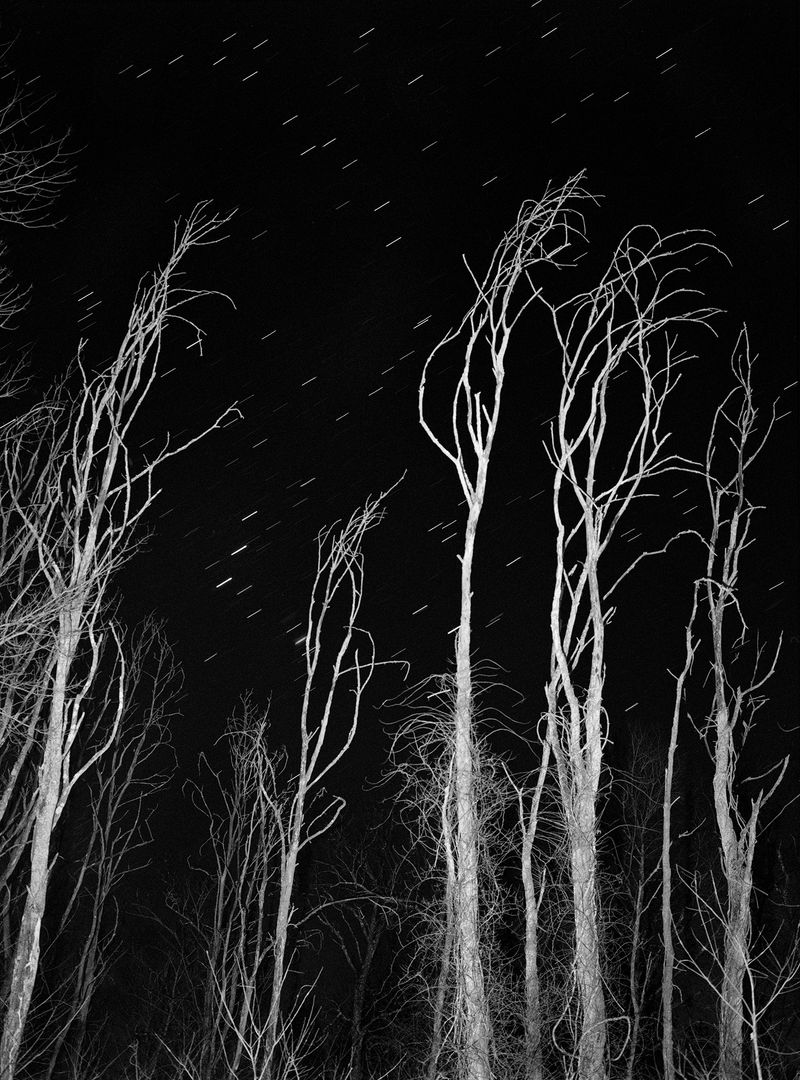 © Dylan and Paul Hausthor and Guilmoth - Image from the Sleep Creek photography project