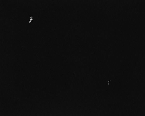 © Dylan and Paul Hausthor and Guilmoth - Image from the Sleep Creek photography project