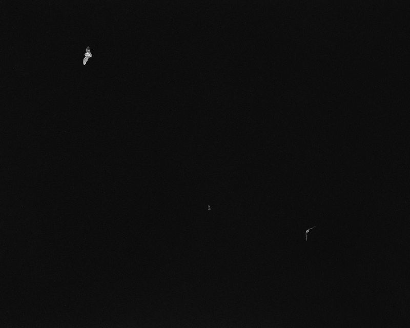 © Dylan and Paul Hausthor and Guilmoth - Image from the Sleep Creek photography project