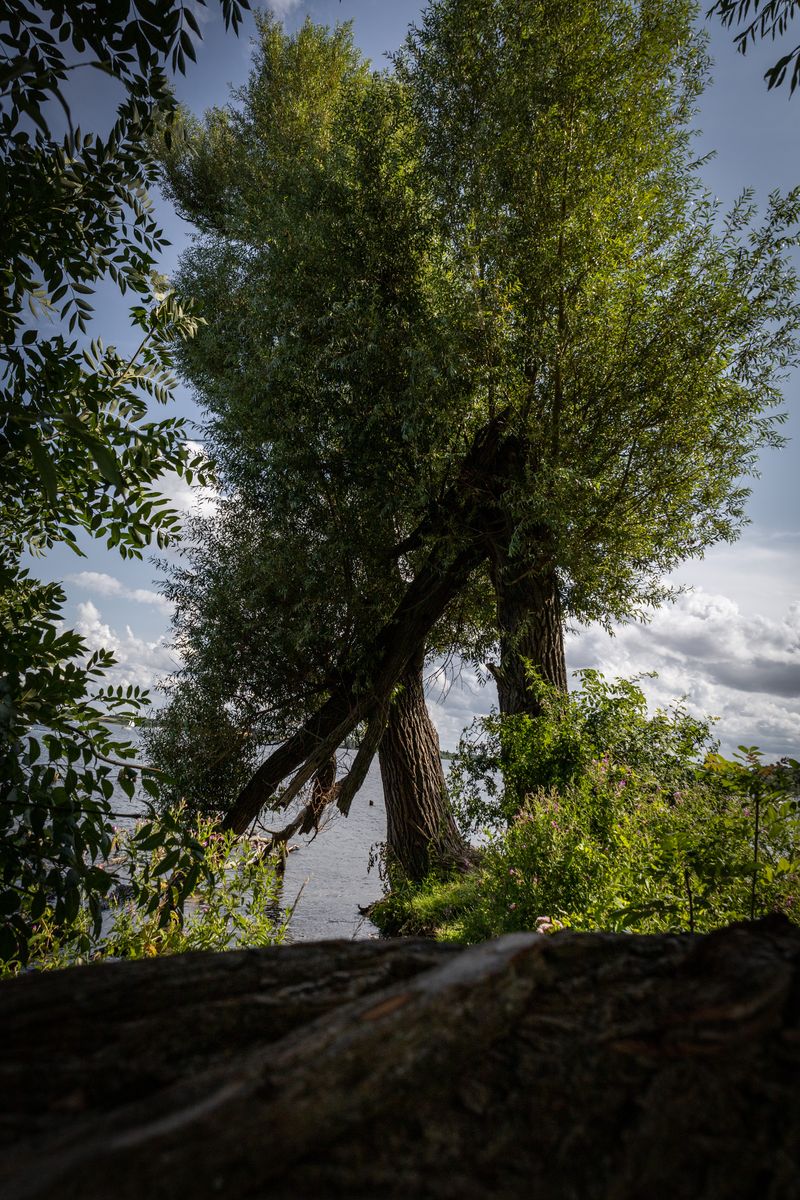 © Eva Brunner - Image from the Perchance to dream photography project