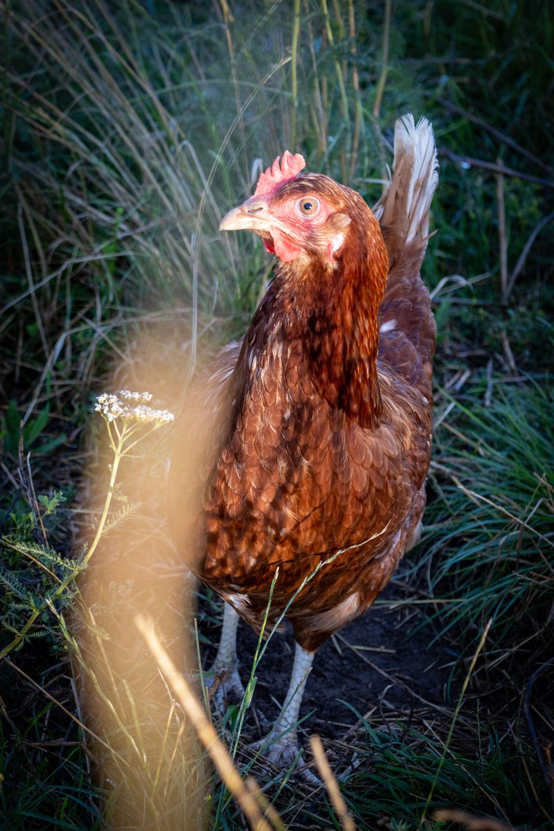 © Eva Brunner - Image from the Perchance to dream photography project