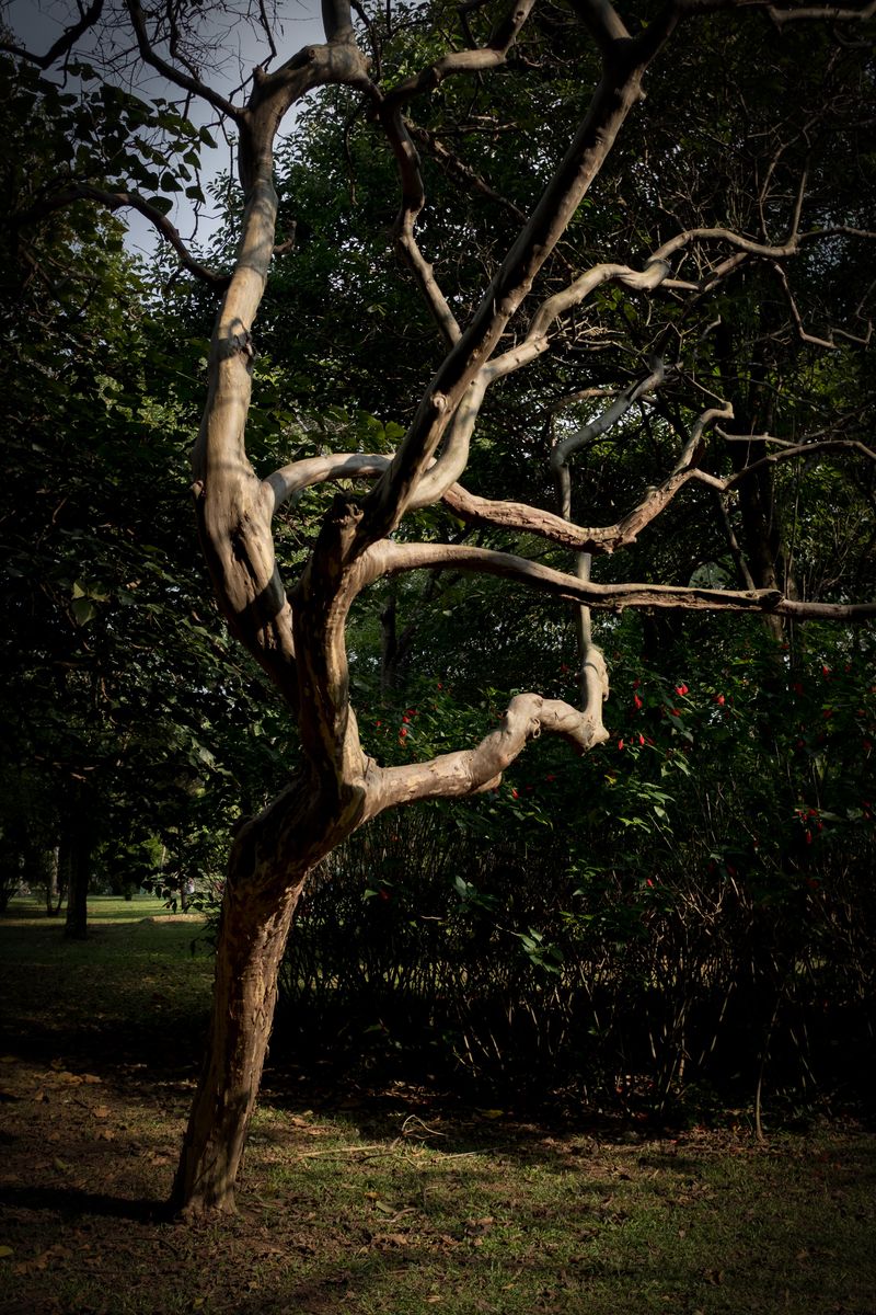 © Eva Brunner - Image from the Perchance to dream photography project