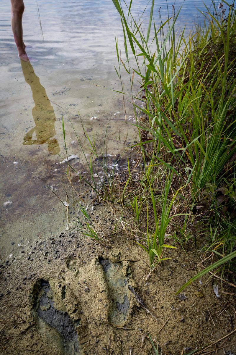 © Eva Brunner - Image from the Perchance to dream photography project