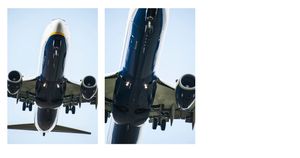 Everybody Need Good Neighbours