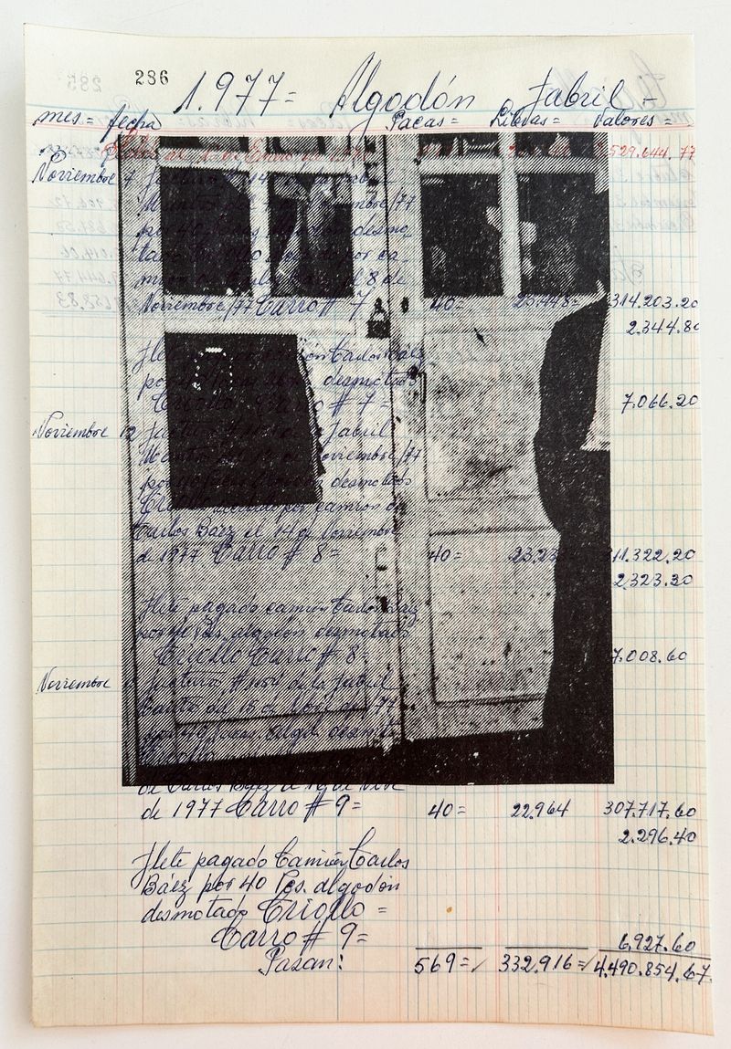 © Arnau Blanch Vilageliu - Image from the Perro que ladra no muerde photography project