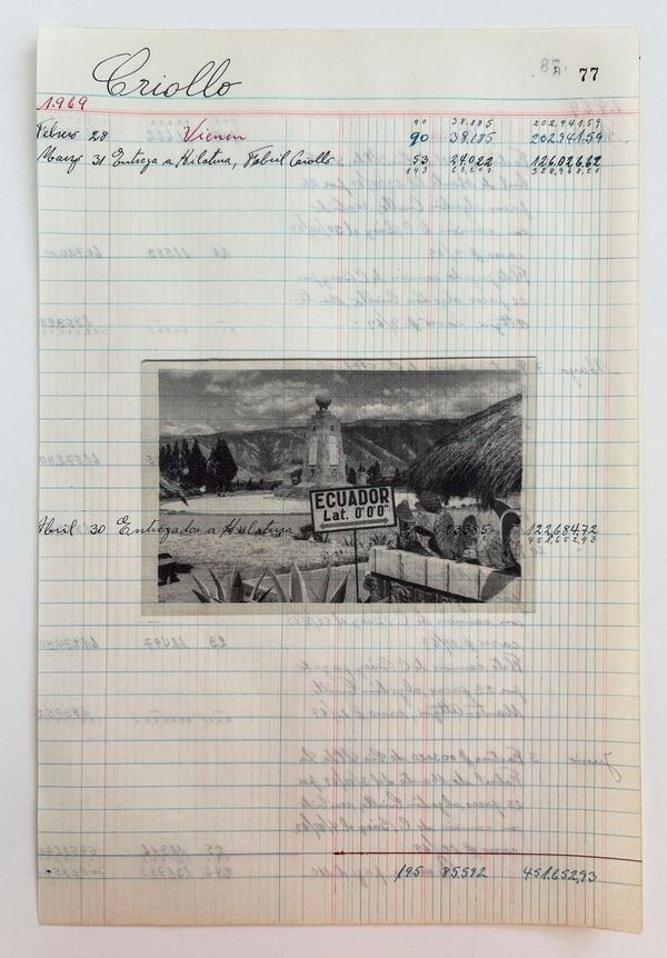 © Arnau Blanch Vilageliu - Image from the Perro que ladra no muerde photography project