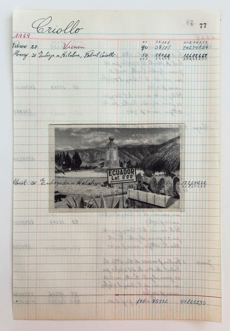 © Arnau Blanch Vilageliu - Image from the Perro que ladra no muerde photography project