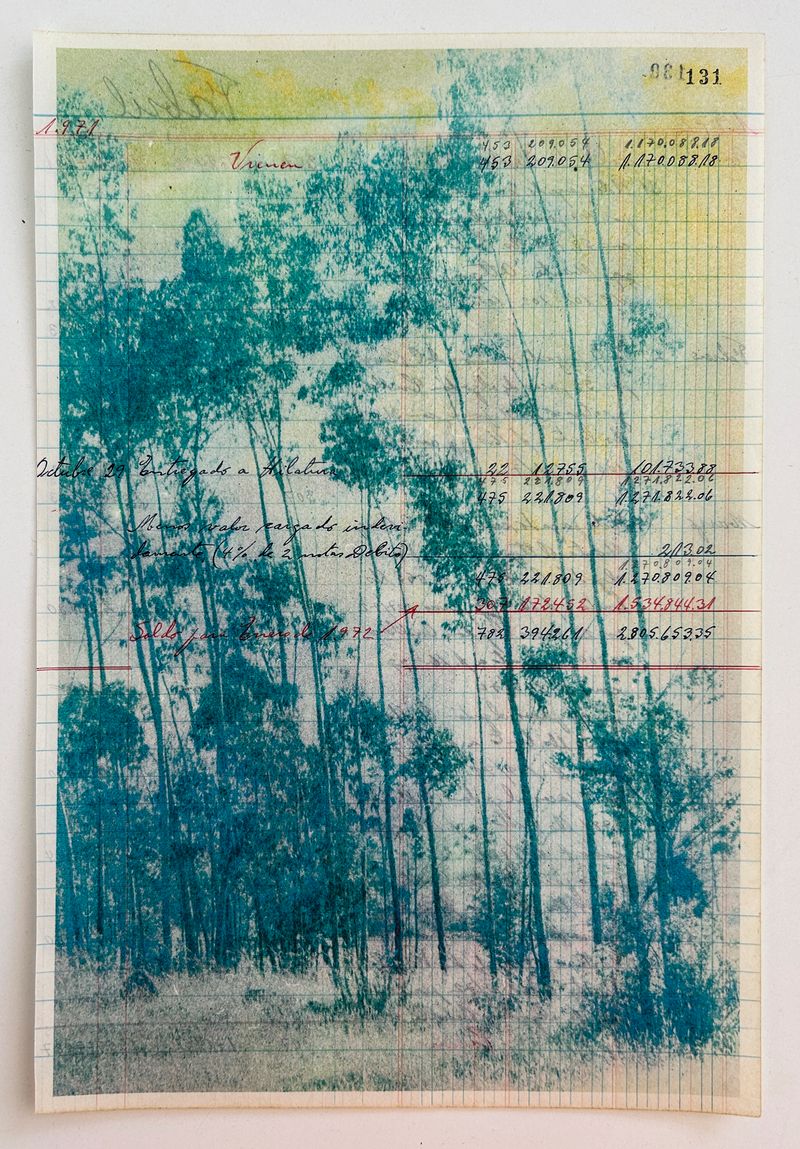 © Arnau Blanch Vilageliu - Image from the Perro que ladra no muerde photography project