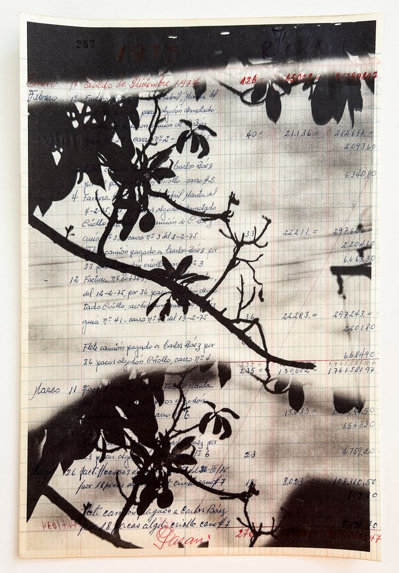 © Arnau Blanch Vilageliu - Image from the Perro que ladra no muerde photography project