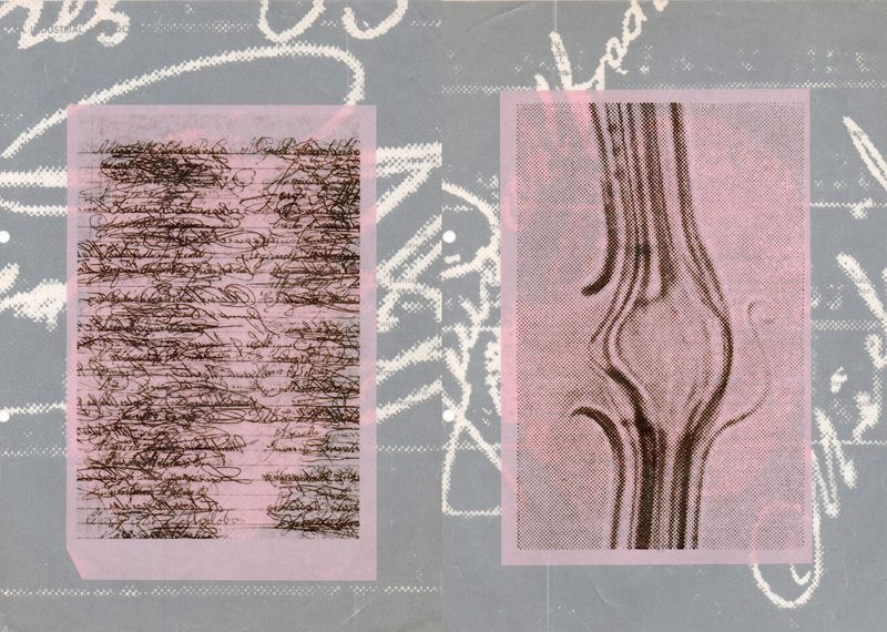 © Arnau Blanch Vilageliu - Image from the Perro que ladra no muerde photography project