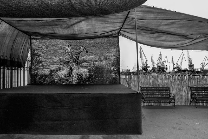 © Marylise Vigneau - Image from the Odessa photography project