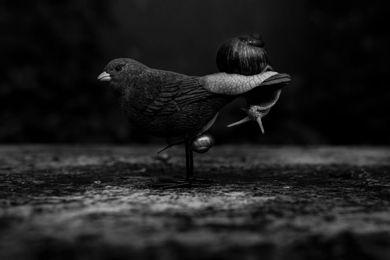 © Marylise Vigneau - Perilous Softness