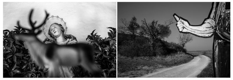 © Marylise Vigneau - Vineyards Activities