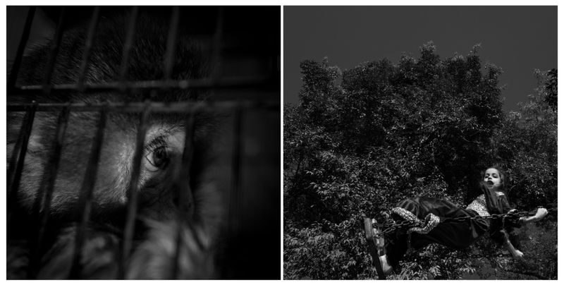 © Marylise Vigneau - Image from the AARZOO photography project