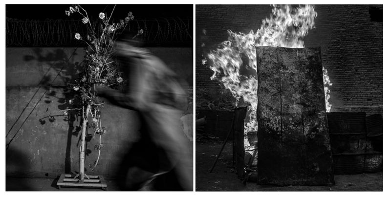 © Marylise Vigneau - Image from the AARZOO photography project